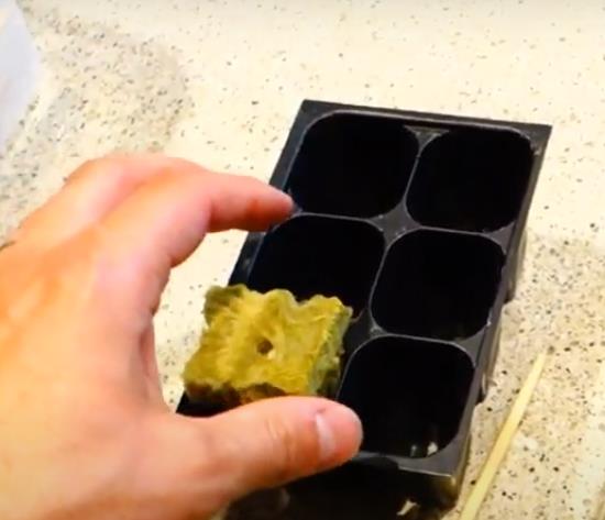 采用巖棉種黃瓜有什么要求